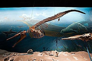 《潜行者2》1.1.3补丁上线 修复着色器编译问题